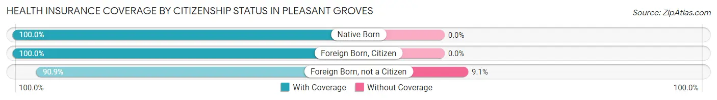 Health Insurance Coverage by Citizenship Status in Pleasant Groves