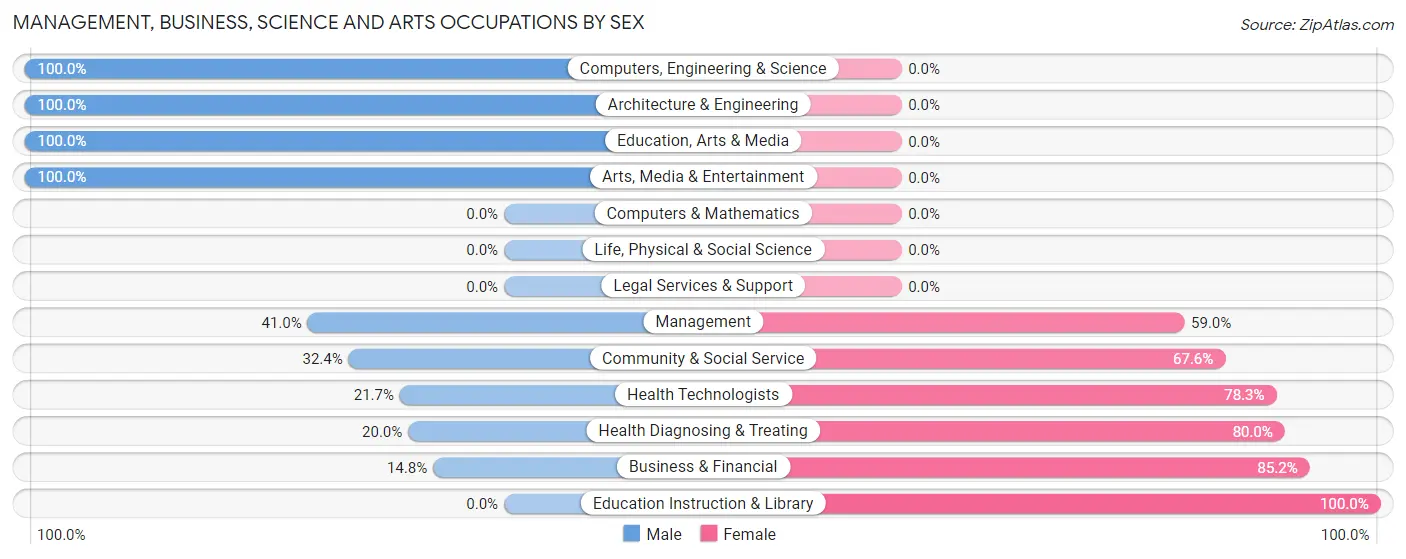 Management, Business, Science and Arts Occupations by Sex in Reform