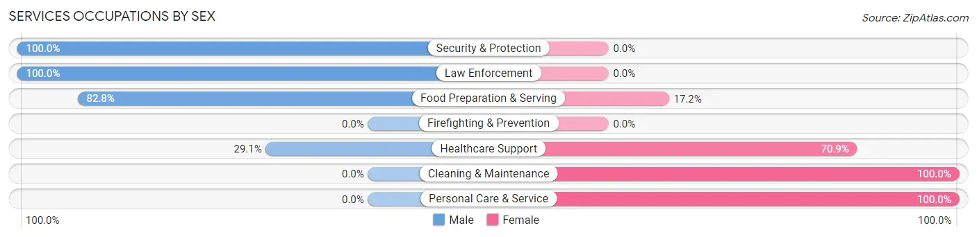 Services Occupations by Sex in Reform