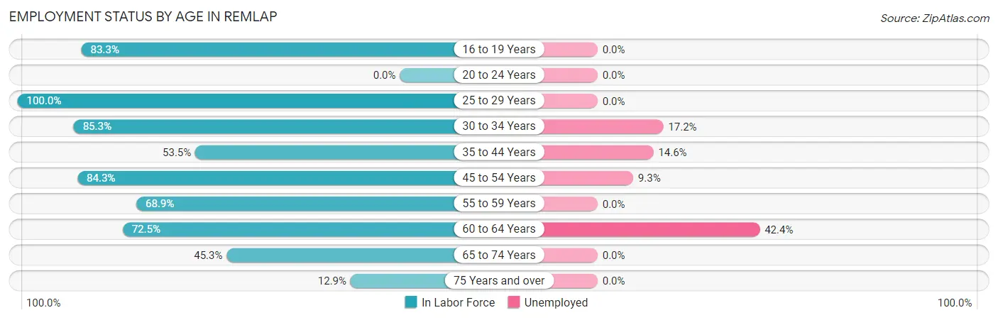 Employment Status by Age in Remlap