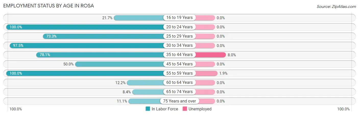 Employment Status by Age in Rosa