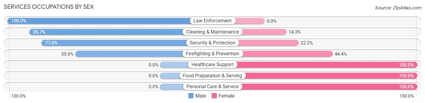 Services Occupations by Sex in Section