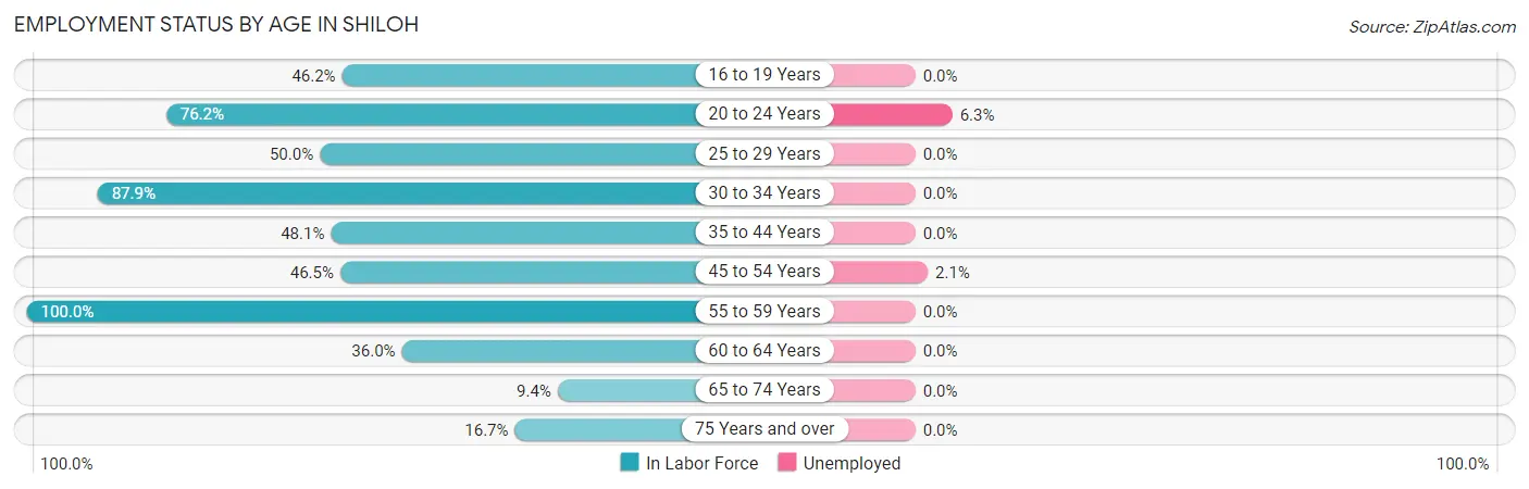 Employment Status by Age in Shiloh