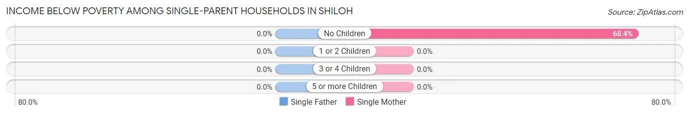 Income Below Poverty Among Single-Parent Households in Shiloh