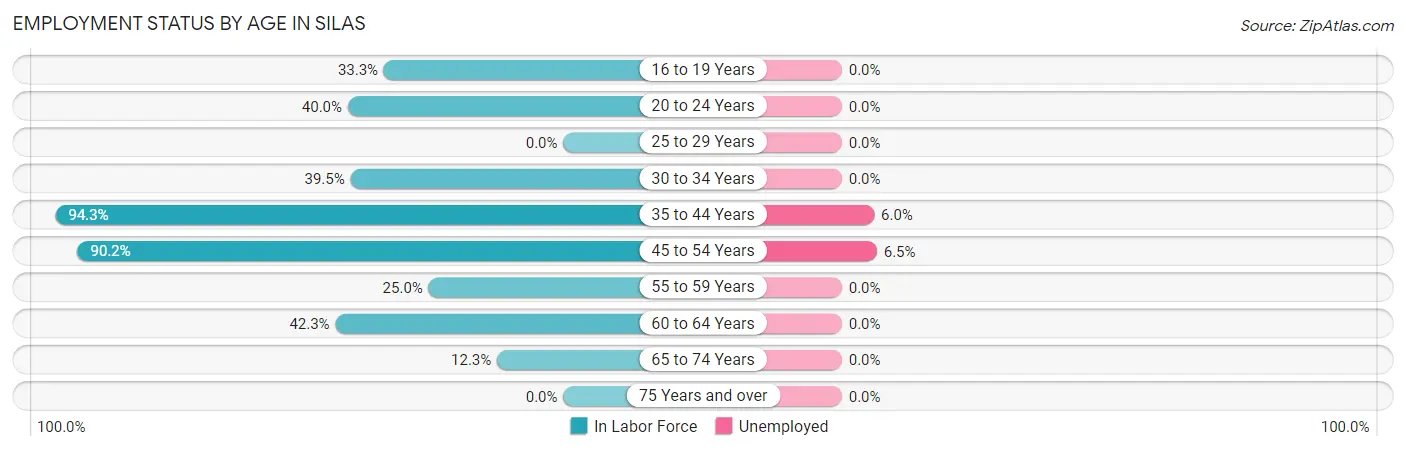 Employment Status by Age in Silas