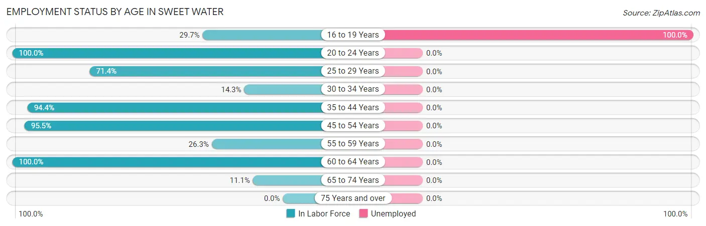 Employment Status by Age in Sweet Water