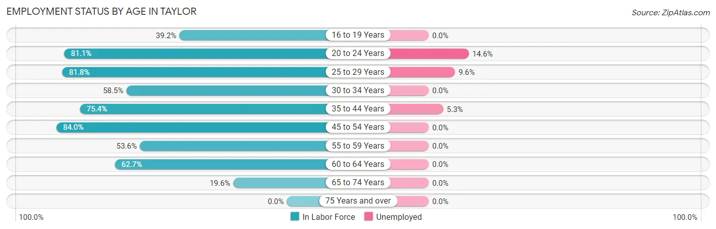 Employment Status by Age in Taylor