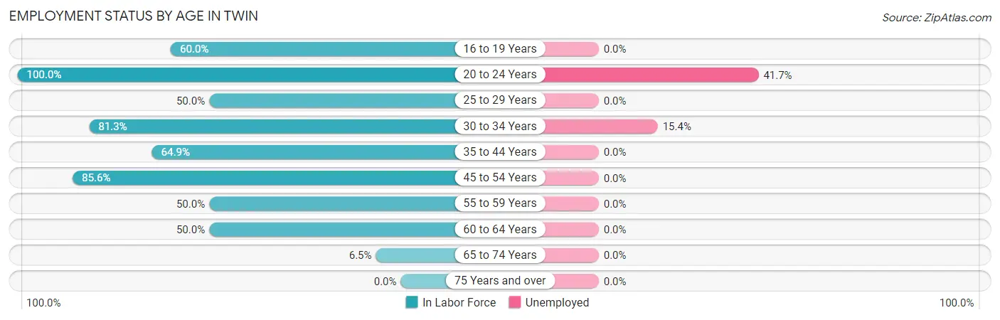 Employment Status by Age in Twin