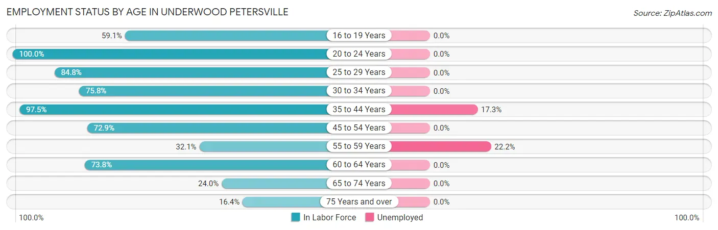 Employment Status by Age in Underwood Petersville