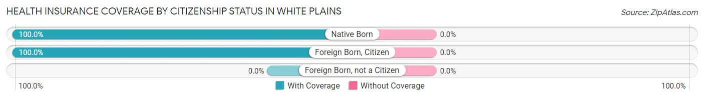 Health Insurance Coverage by Citizenship Status in White Plains