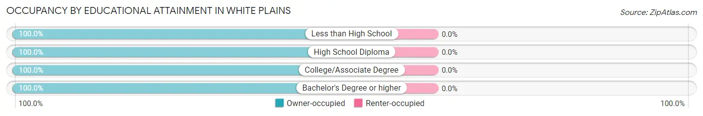 Occupancy by Educational Attainment in White Plains