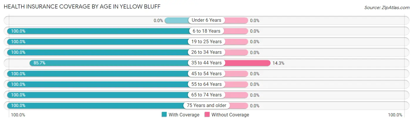 Health Insurance Coverage by Age in Yellow Bluff