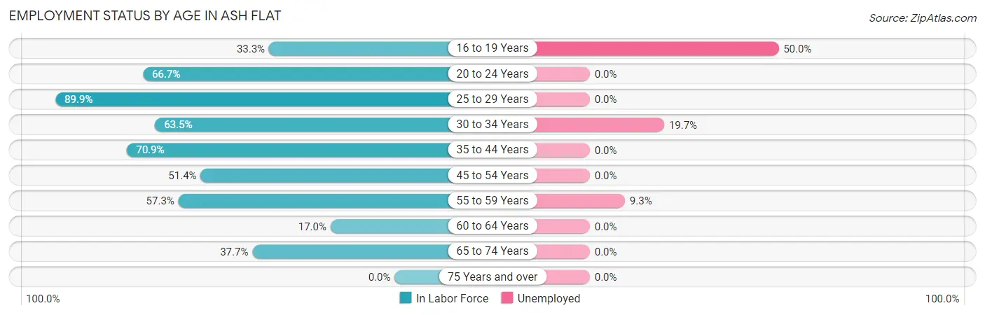 Employment Status by Age in Ash Flat