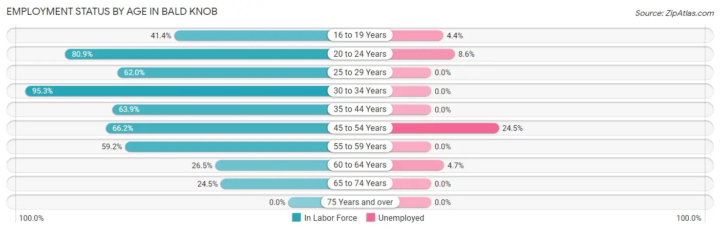Employment Status by Age in Bald Knob