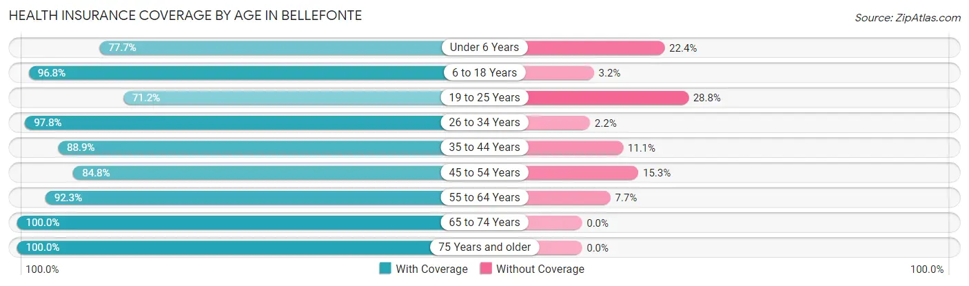 Health Insurance Coverage by Age in Bellefonte