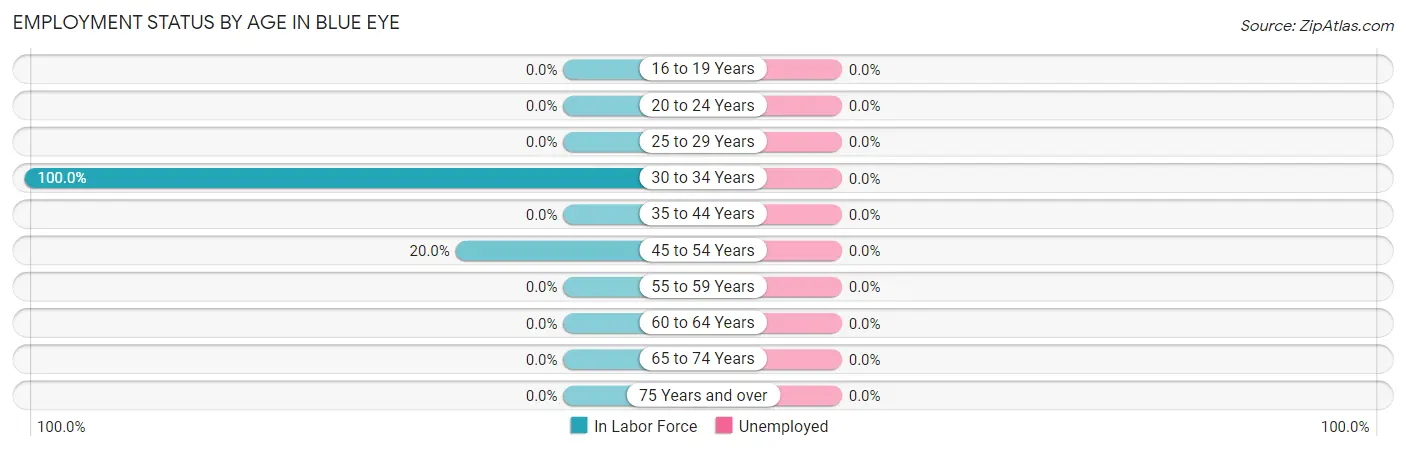 Employment Status by Age in Blue Eye