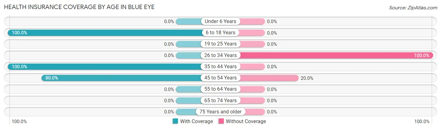 Health Insurance Coverage by Age in Blue Eye