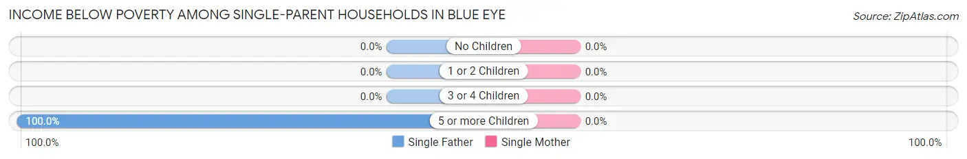 Income Below Poverty Among Single-Parent Households in Blue Eye