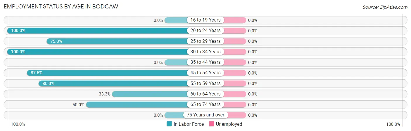 Employment Status by Age in Bodcaw