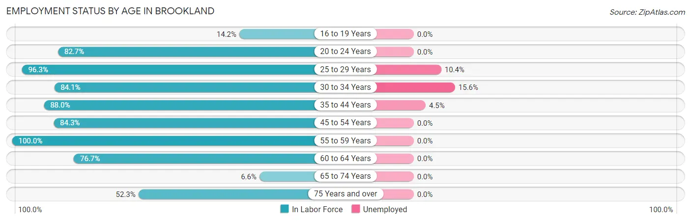 Employment Status by Age in Brookland