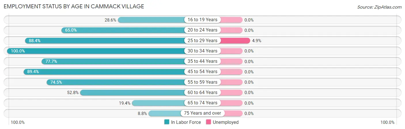 Employment Status by Age in Cammack Village