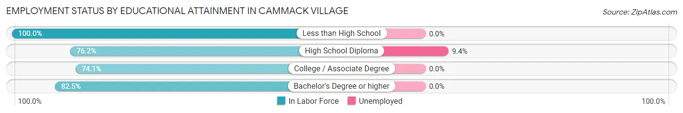 Employment Status by Educational Attainment in Cammack Village