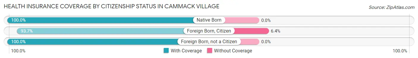 Health Insurance Coverage by Citizenship Status in Cammack Village