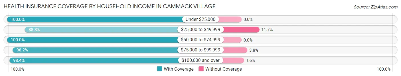 Health Insurance Coverage by Household Income in Cammack Village