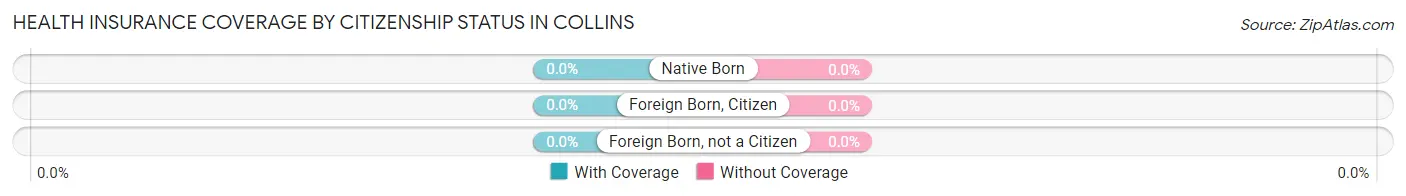 Health Insurance Coverage by Citizenship Status in Collins