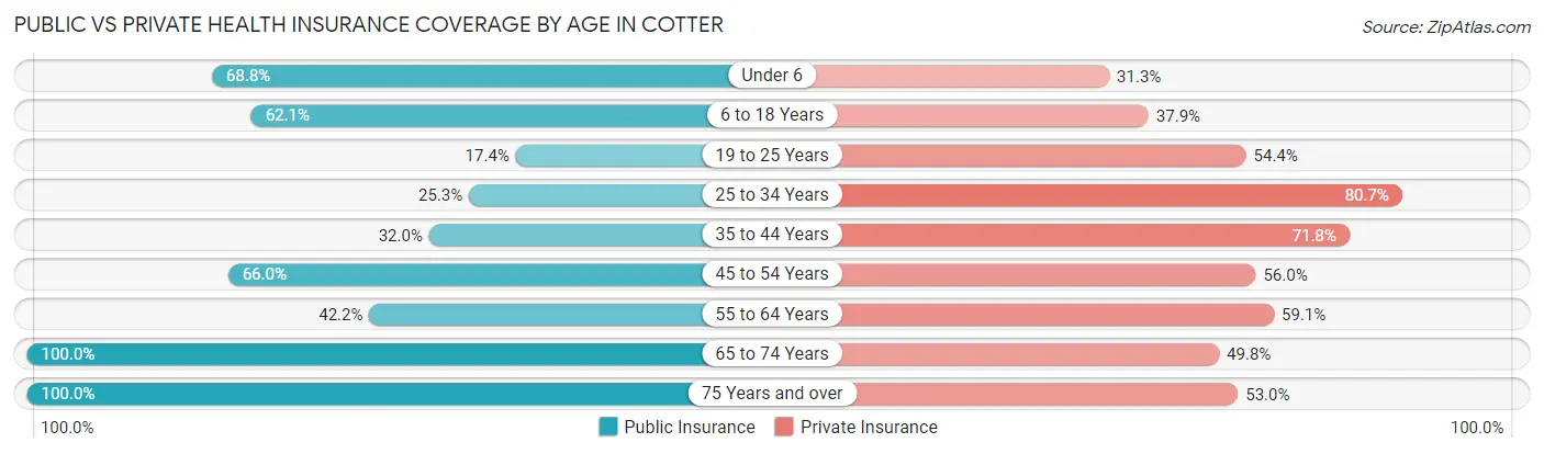 Public vs Private Health Insurance Coverage by Age in Cotter