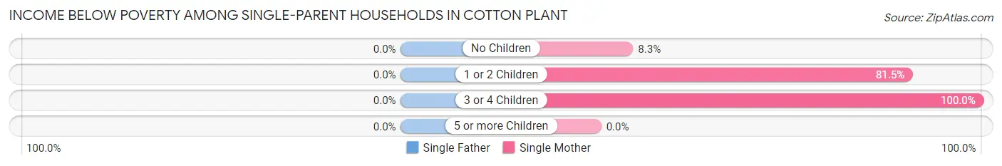 Income Below Poverty Among Single-Parent Households in Cotton Plant