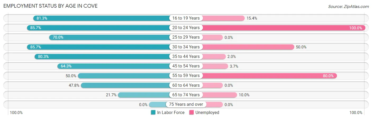 Employment Status by Age in Cove