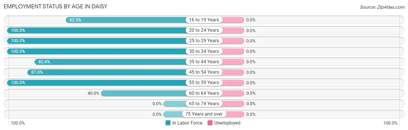 Employment Status by Age in Daisy