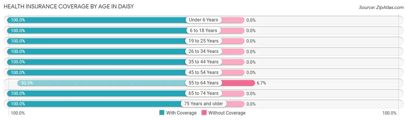 Health Insurance Coverage by Age in Daisy