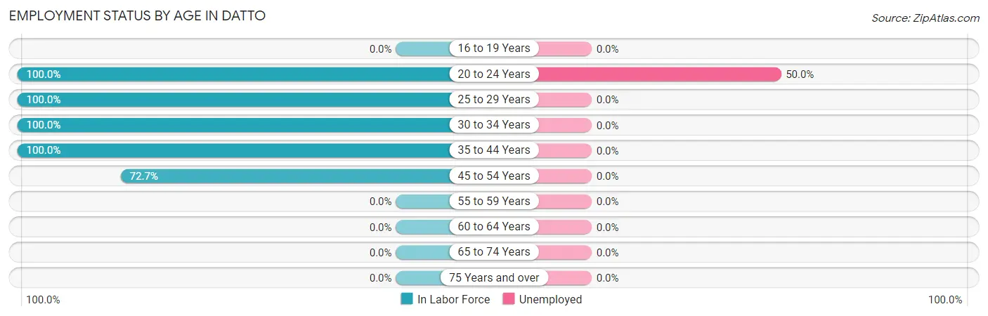 Employment Status by Age in Datto