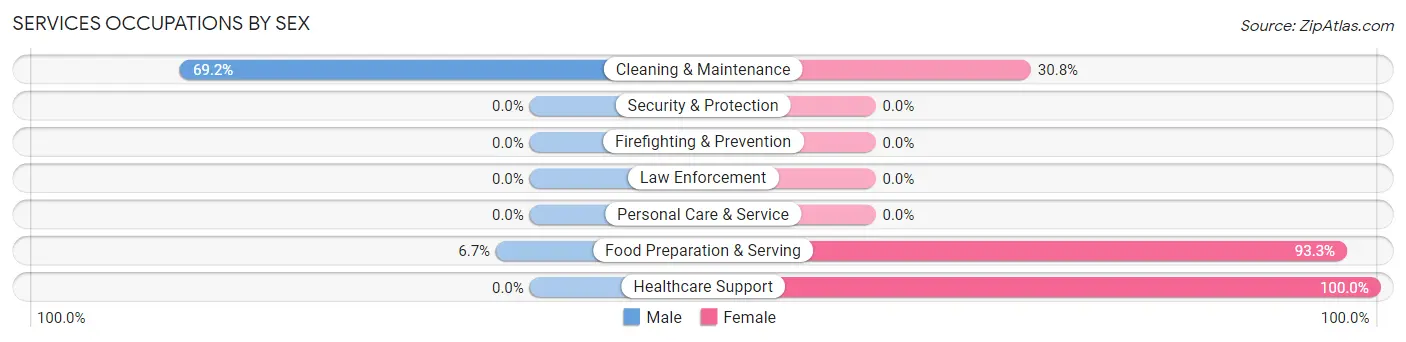 Services Occupations by Sex in Diaz