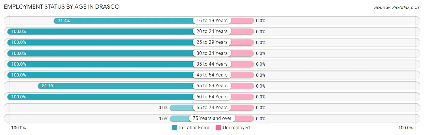 Employment Status by Age in Drasco