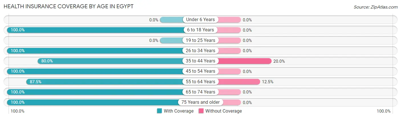 Health Insurance Coverage by Age in Egypt