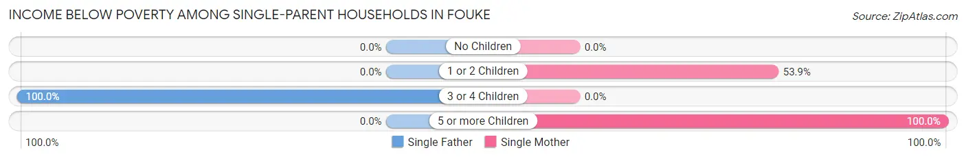Income Below Poverty Among Single-Parent Households in Fouke