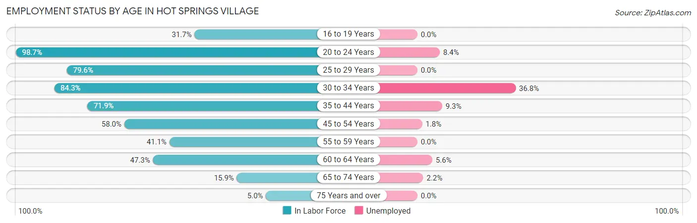 Employment Status by Age in Hot Springs Village