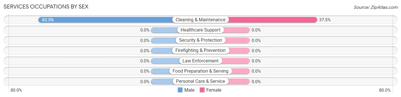 Services Occupations by Sex in Hunter