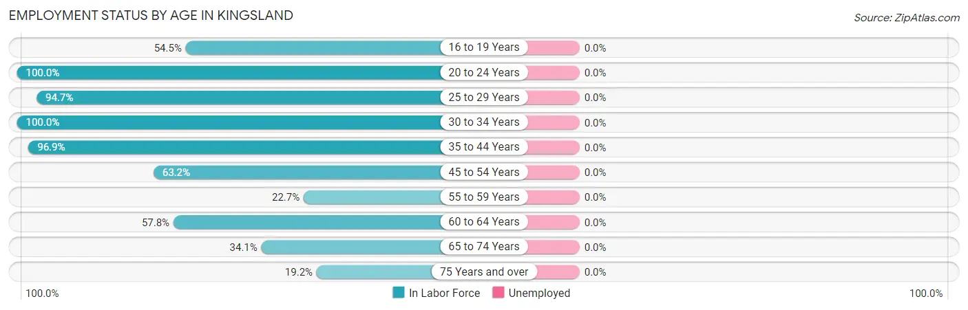 Employment Status by Age in Kingsland