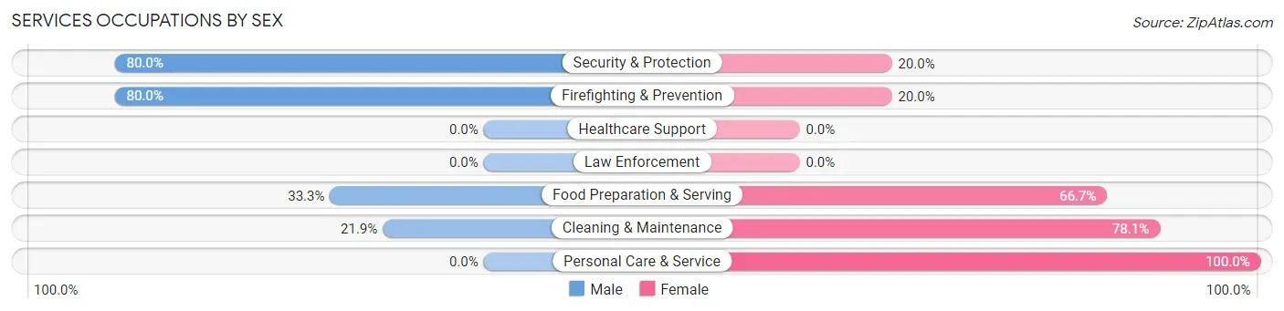 Services Occupations by Sex in Lakeview