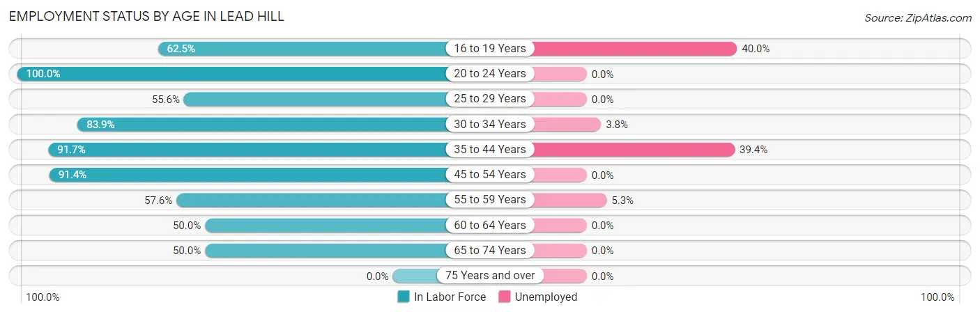 Employment Status by Age in Lead Hill