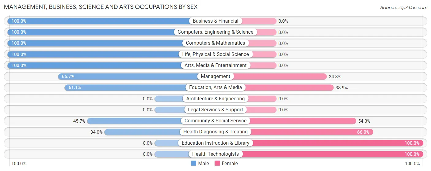 Management, Business, Science and Arts Occupations by Sex in Lepanto