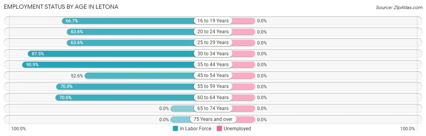 Employment Status by Age in Letona