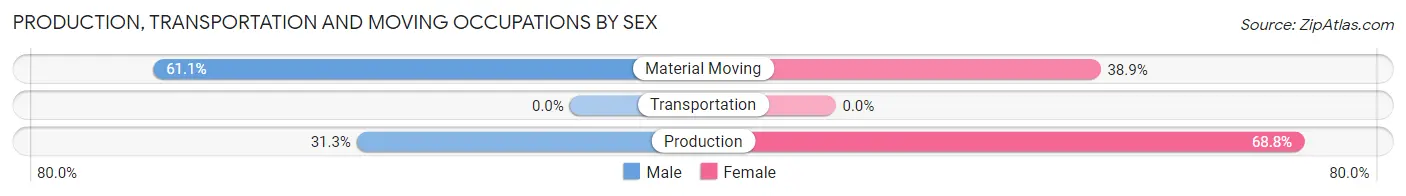 Production, Transportation and Moving Occupations by Sex in Letona