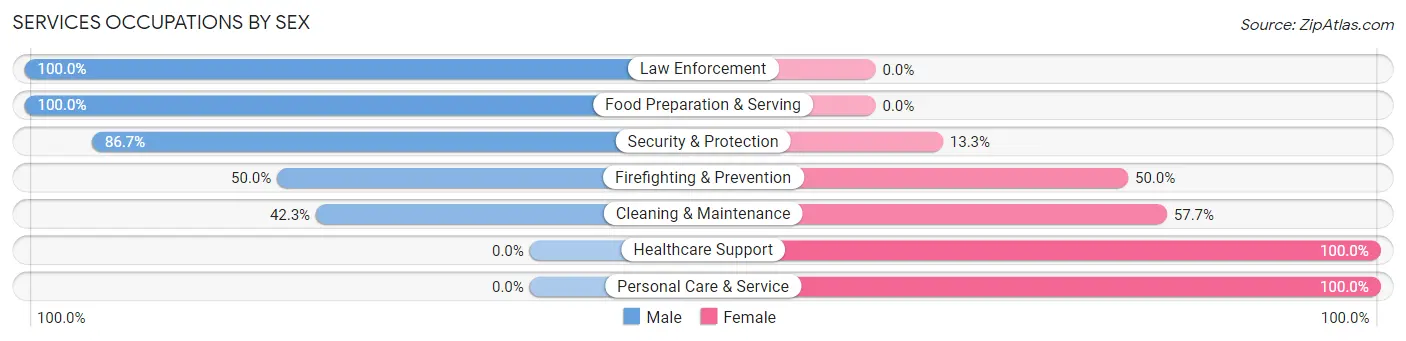 Services Occupations by Sex in Magazine