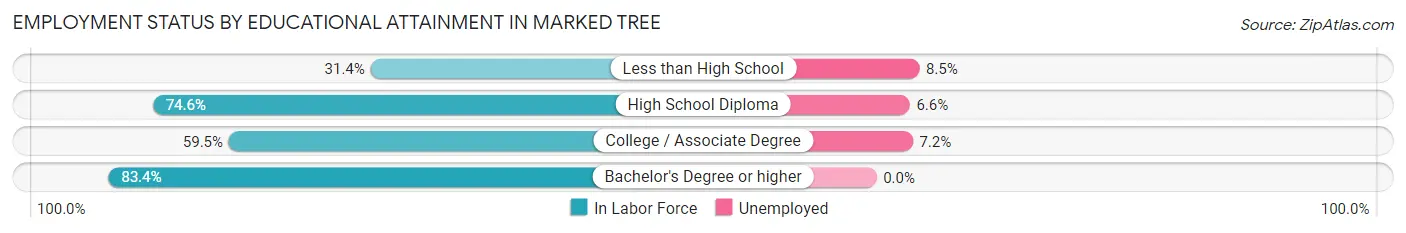 Employment Status by Educational Attainment in Marked Tree
