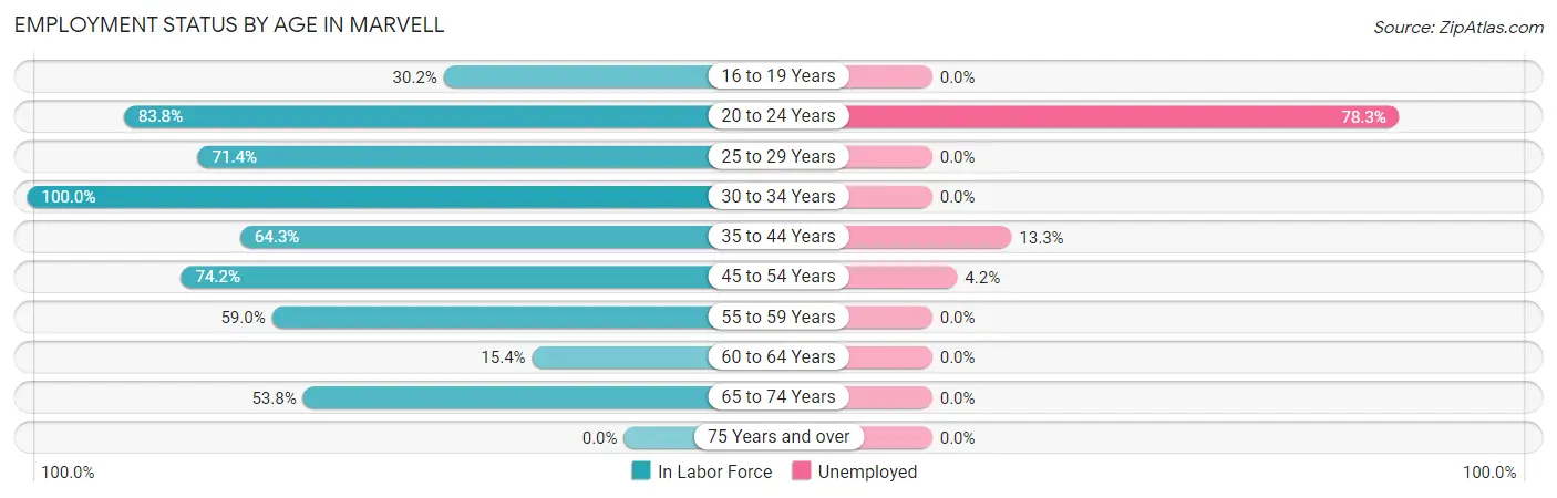 Employment Status by Age in Marvell